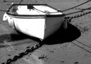 IMG 0235BW