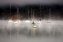 In the Mist