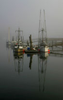 Bamfield Boats