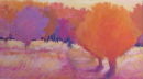 ''Wild Garden''