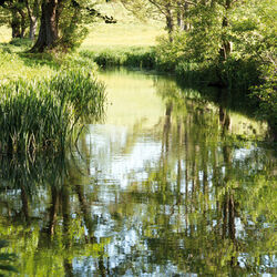 River Nadder, Sutton Mandeville