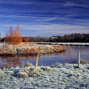 River Wylye, Stapleford