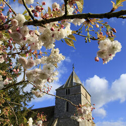 Steeple Langford