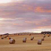 Tytherington