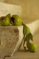 figs
