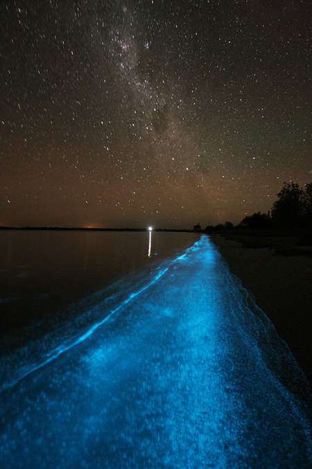 Photo by Phil Hart