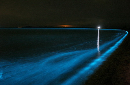 Photo by Phil Hart