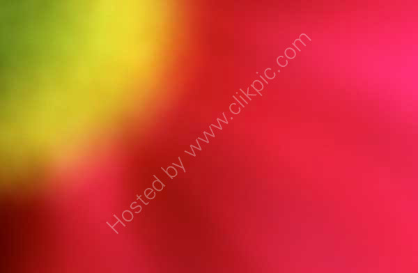 Abstract flower
