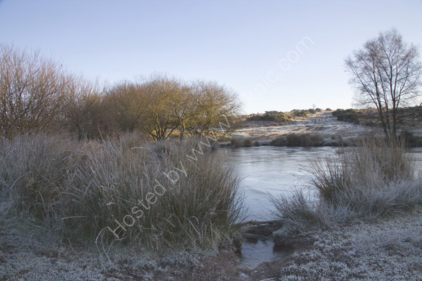 Winter in the Ashdown Forest