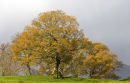 Birk Rigg park