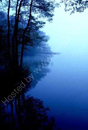 Frencham Great Pond in Surrey