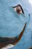 the Blue Whale