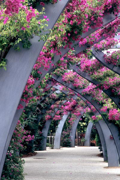 South park walkway