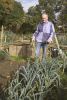 On the allotment