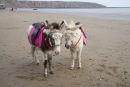 Filey