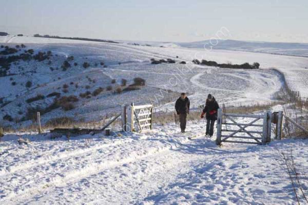 South downs snow