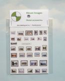4mm scale framed pictures