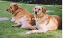 Mack and Mable