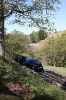 Sir Nigel at Thomason Foss, NYMR