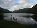 Tal-y-llyn Dusk