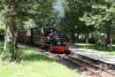 Tal-y-llyn train at Rhydyronen