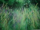 Grassland