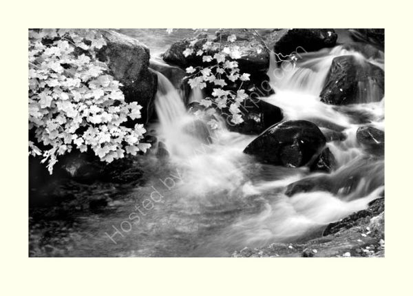 Aira Force