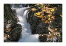 Stream, Aira Force