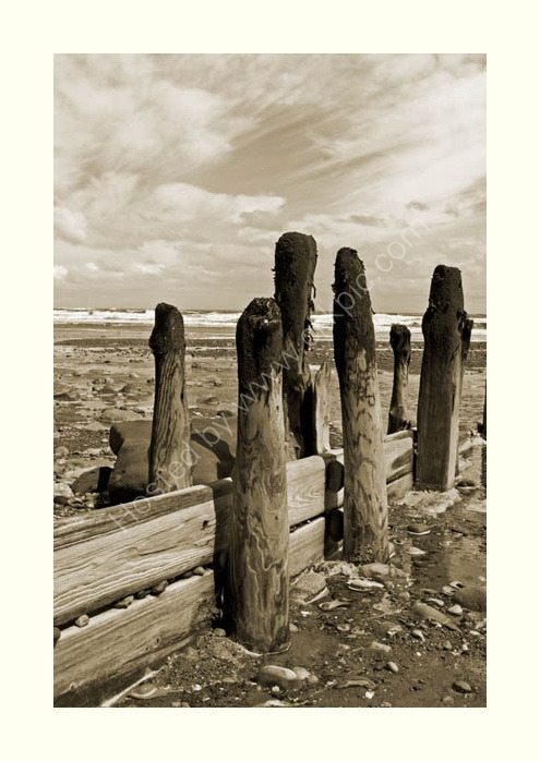 Weathered groynes