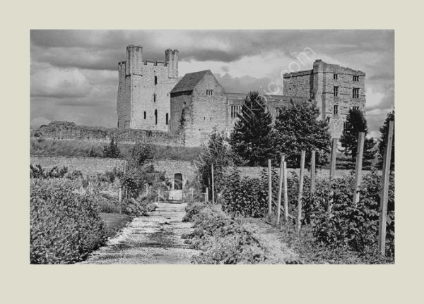 Castle from the walled garden