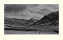 Martindale