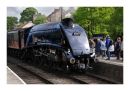 Sir Nigel Gresley