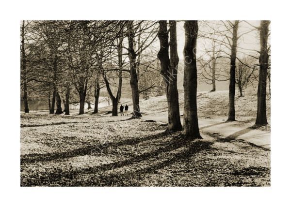 Winter sunshine