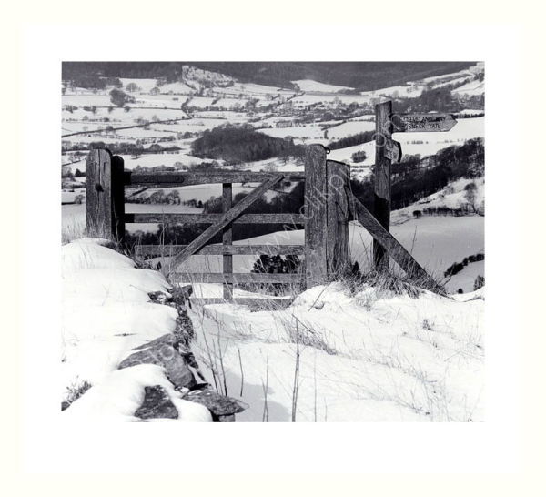 Gate in the snow