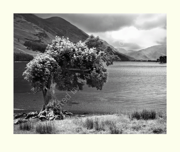 Buttermere