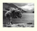 Buttermere