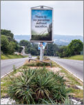 BLURB - Book publication
