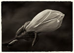 Amateur Photographer of the Year 2012