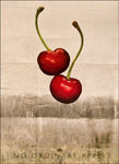Richmond and Twickenham Photographic Society