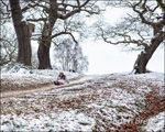 Royal Photographic Society