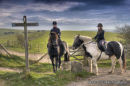 Horse and Rider