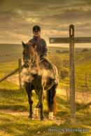 Horse and Rider