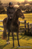 Horse and Rider Portrait
