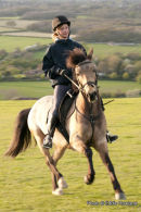 Horse and Rider Portrait