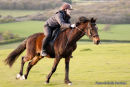 Horse and Rider Portrait