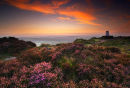 Trig Point