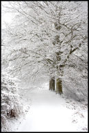 Snow Path...