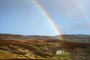 Rainbow I...