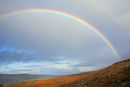 Rainbow II...