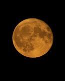 Strawberry Moon